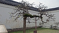 2017-04-08_124244 china-2017